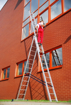 Picture of Aldotrade aluminum ladder 3x7 partition Profi three -piece