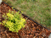 Picture of Gutta Guttagarden curb 45 x 1000 mm