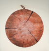 Picture of Aldotrade seat cushion - wood brown wood