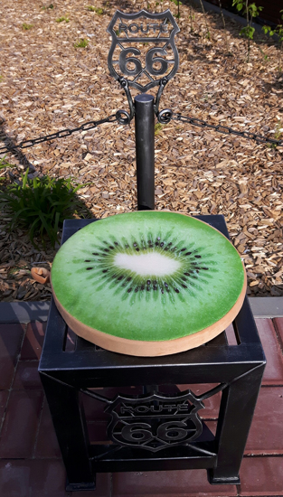 Picture of Aldotrade seat cushion Fruit - kiwi