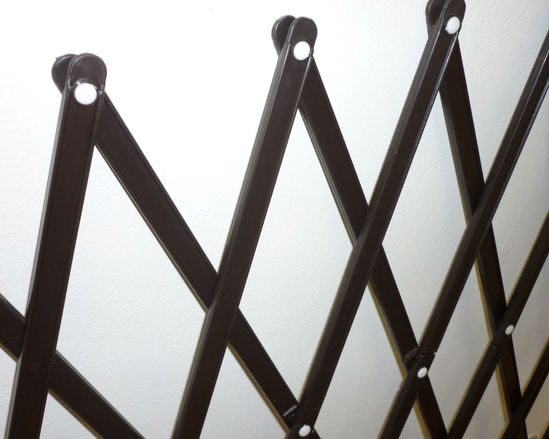 Picture of ALDOTRADE Folding grid for climbing plants pergola