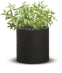 Obrázek z KETER Květináč Cylinder Planter S 