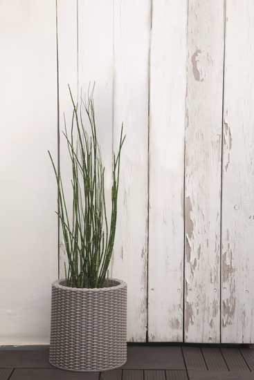 Picture of Keter flower pot cylinder planter with