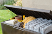 Picture of Keter Springwood Stogare Garden storage box 302L, brown 1720237