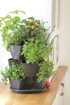 Picture of Flower pot for herbs cascade Coubi 3 floors