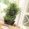 Picture of Flower pot for herbs cascade Coubi 3 floors