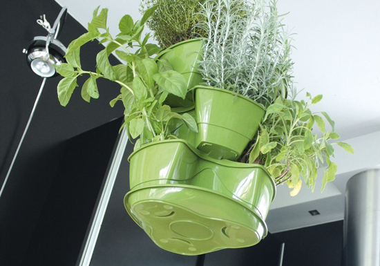 Picture of Flower pot for herbs cascade Coubi 3 floors hanging