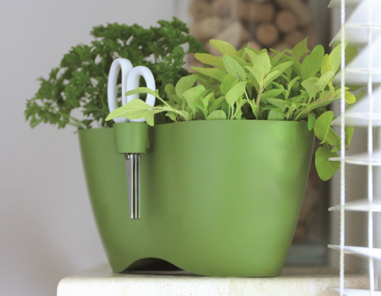 Picture of Flower pot for Limes Dublo 2.3l Herbs