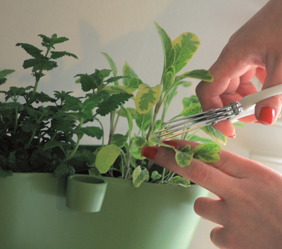 Picture of Flower pot for Limes Dublo 2.3l Herbs
