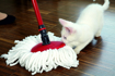 Picture of MOP Vileda Easy Wring and Clean
