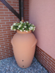 Picture of SUD on rainwater Garden amphora terracotta