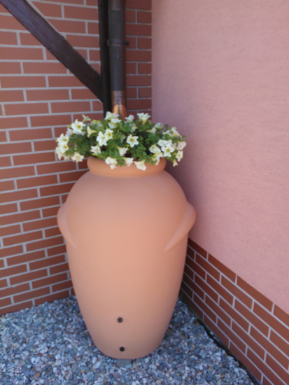 Picture of SUD on rainwater Garden amphora terracotta