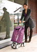 Picture of Shopping bag on wheels Twin purple