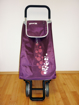 Picture of Shopping bag on wheels Twin purple