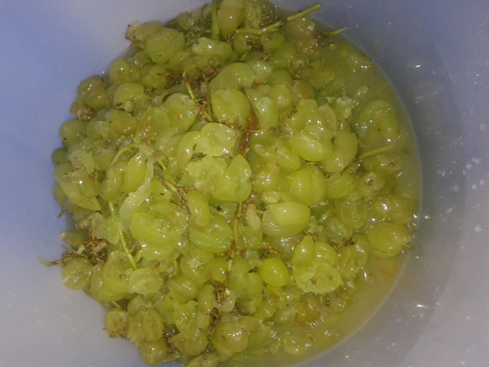 Picture of Tip the Grape Mill