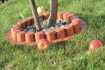 Picture of Garden plastic palisade curb HAPPY GRASS IPAL 7 - 4.05m