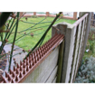 Picture of Aldotrade spikes protective against pigeons PE 4.5x50cm