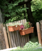 Picture of Balcony box CAN 60 cm + irrigation system