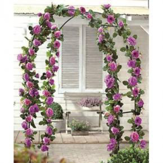 Picture of Lean to climbing flowers