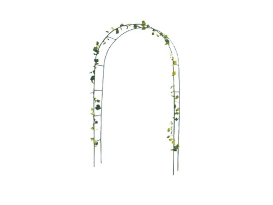 Picture of Lean to climbing flowers