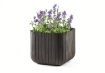 Obrázek z květináč Cube M 50,5L Antracit 